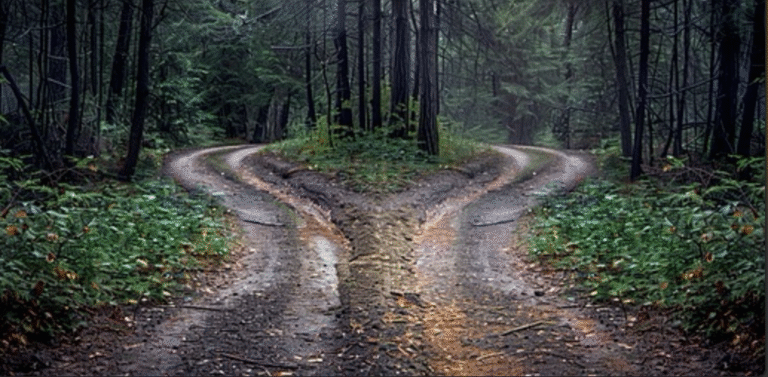 A la croisée des chemins : pourquoi la fonction RH vit l’un des moments les plus singuliers de son histoire