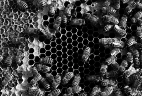 Quand le travail se complique avant de s&rsquo;améliorer : comprendre la phase d&rsquo;adaptation 